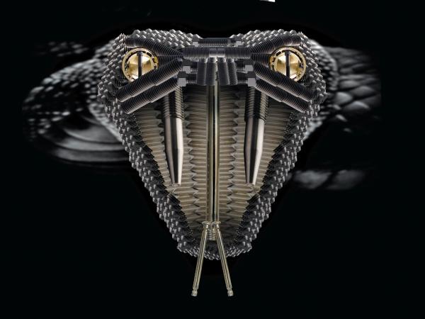 Snake, snake eye screws, security Fasteners