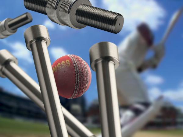 Cricket, Wickets