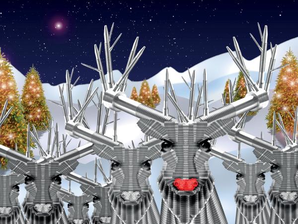 Reindeer, Christmas