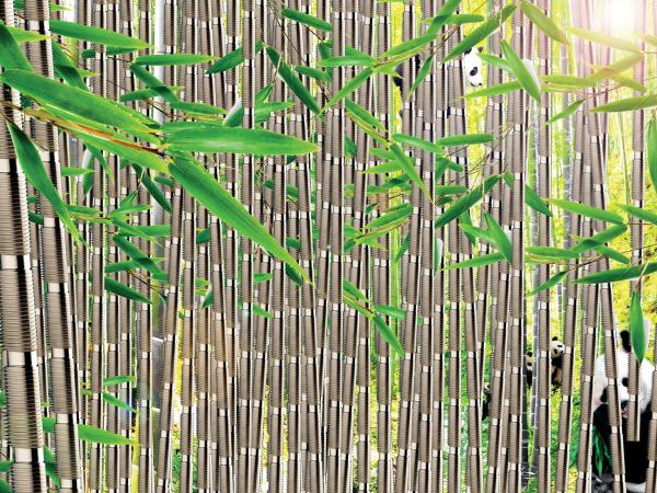 Bamboo