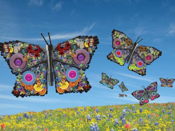 Butterflys