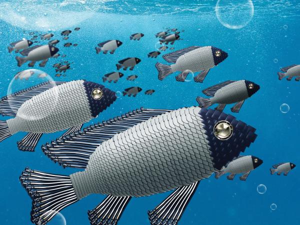 Marine fish