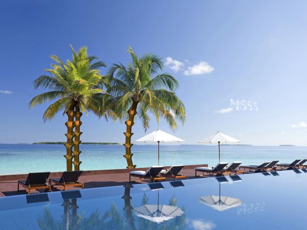 Palm Trees
