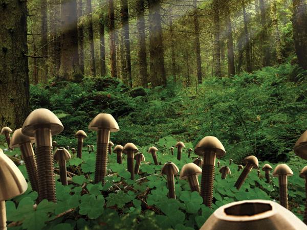 Mushrooms